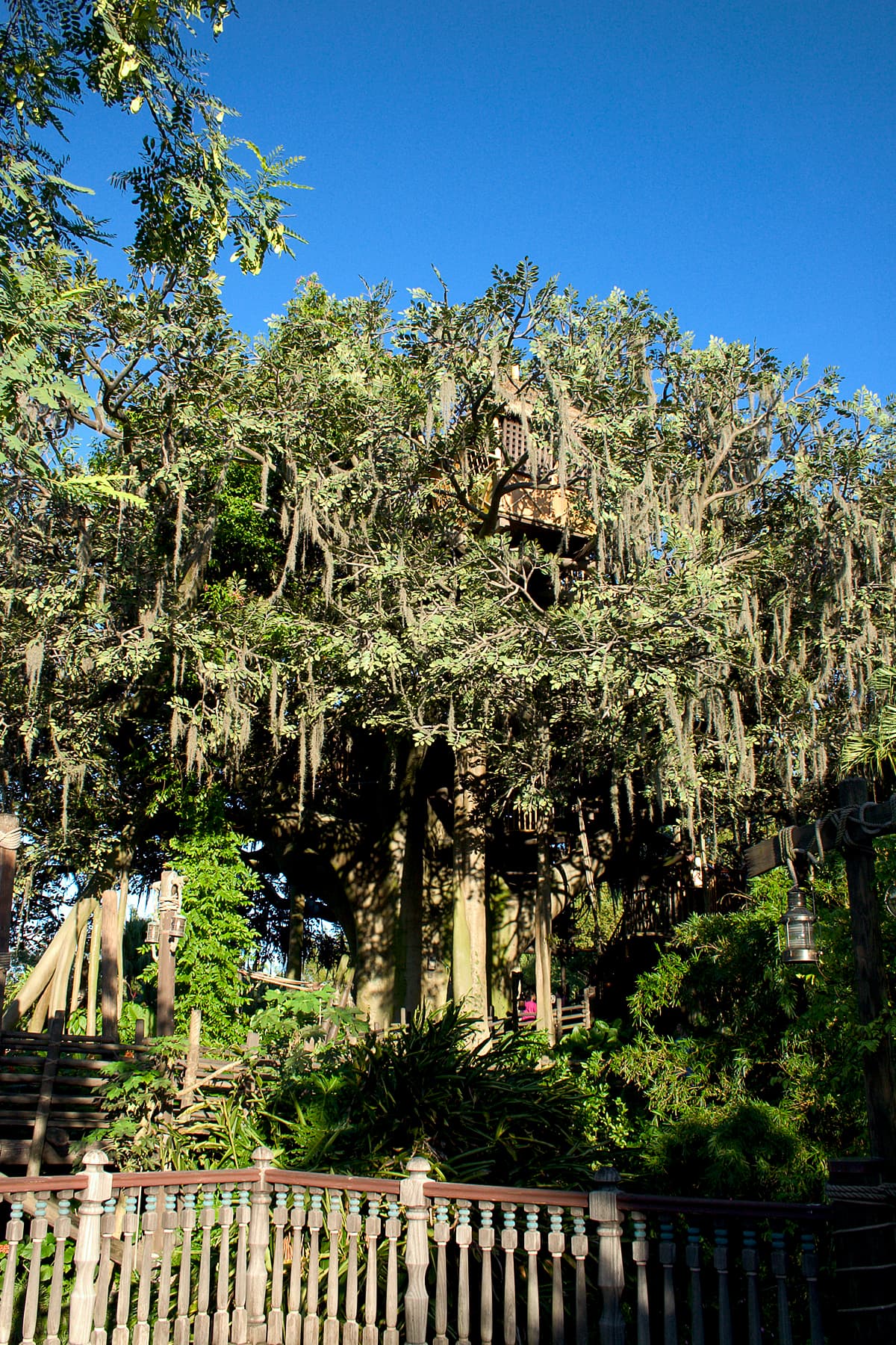 Swiss Family Treehouse at Magic Kingdom
