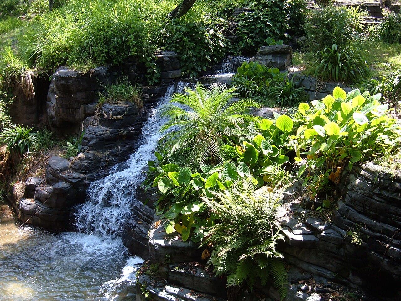 Maharajah Jungle Trek at Disney's Animal Kingdom