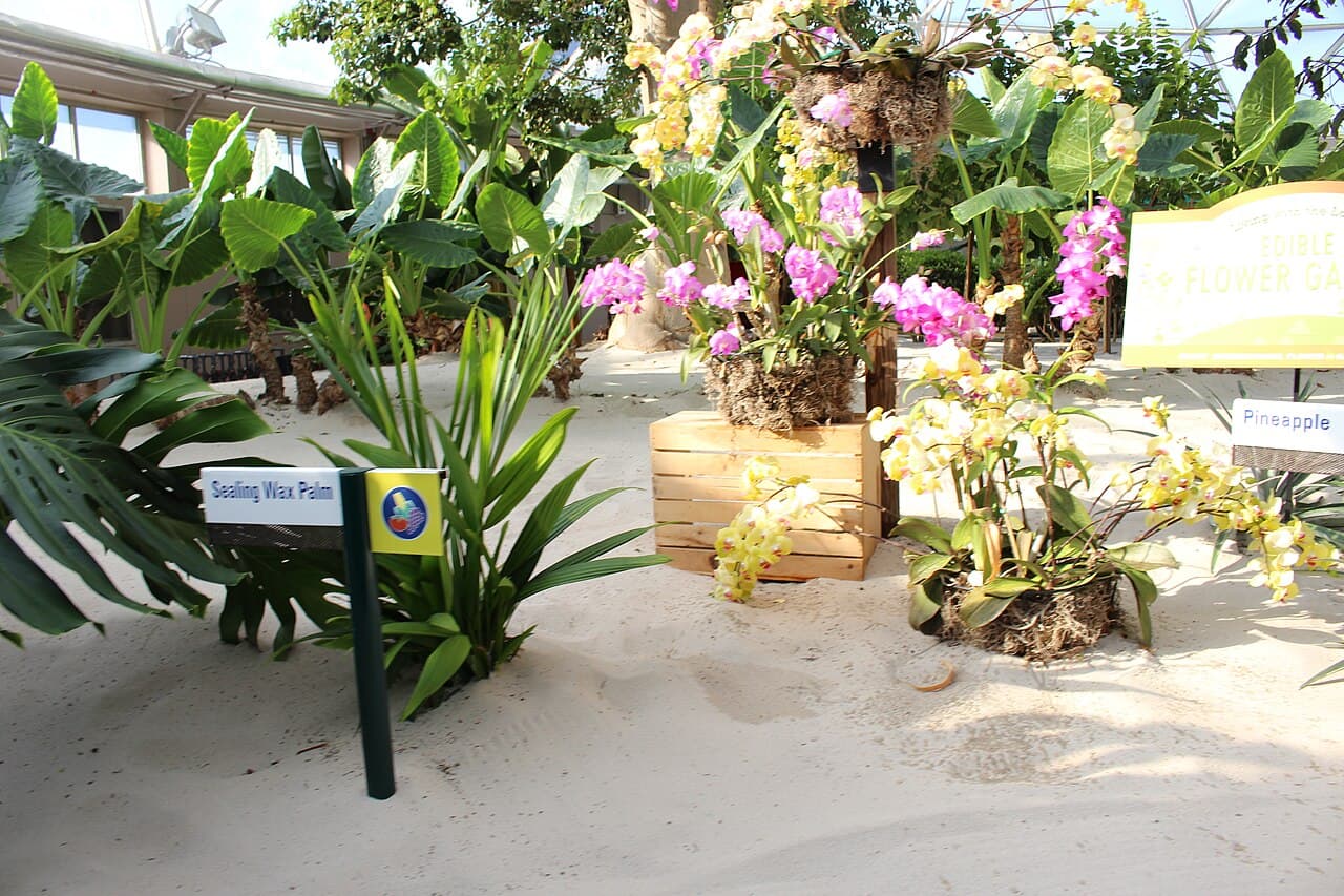 Living with the Land at EPCOT