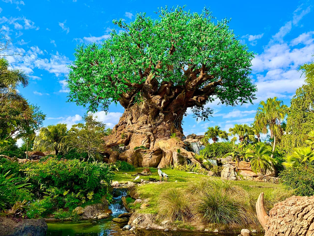 Discovery Island Trails wind around the Tree of Life at Disney's Animal Kingdom
