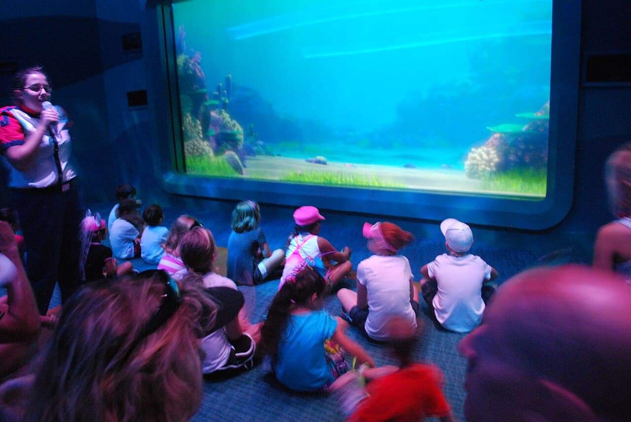 Turtle Talk with Crush at Disney California Adventure